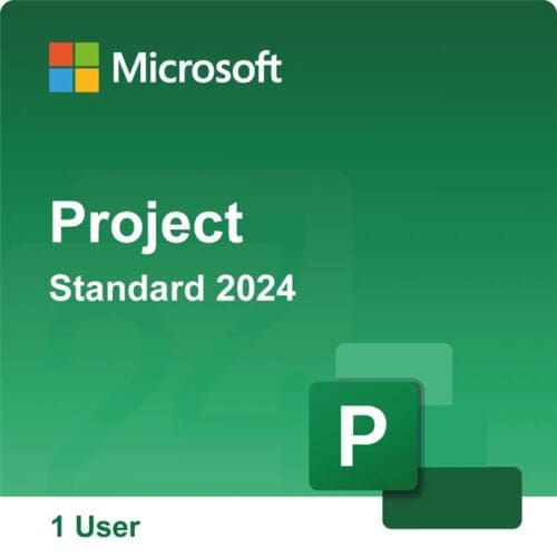 Project Standard 2024