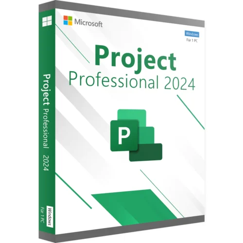 Project Professional 2024