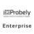 Probely Enterprise