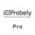 Probely Pro