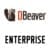 DBeaver Enterprise