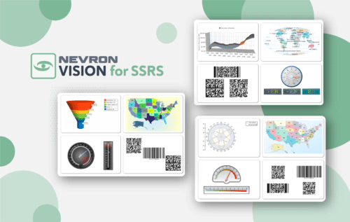 Nevron Vision for SSRS